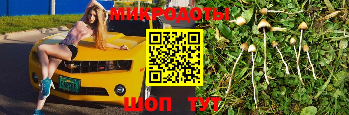 Дальнереченск  купить   Вход с VPN  Галлюциногенные грибы MAGIC MUSHROOMS 